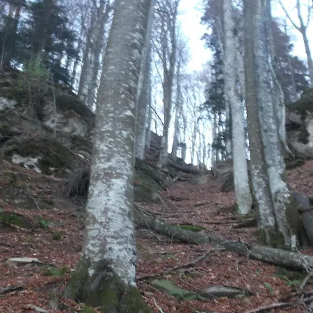 Borgo Valagnesi Casa Annarita * Pratovecchio