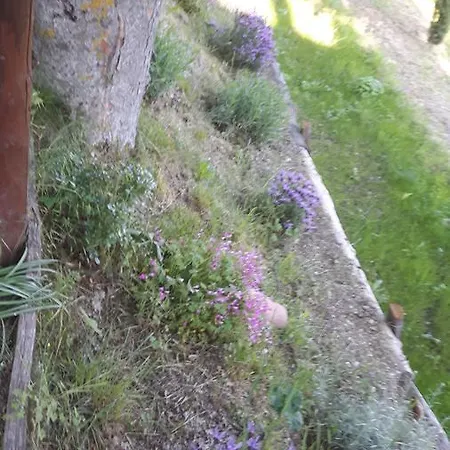 לינה וארוחת בוקר Borgo Valagnesi Casa Annarita *