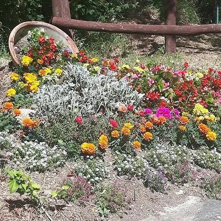 לינה וארוחת בוקר Borgo Valagnesi Casa Annarita *