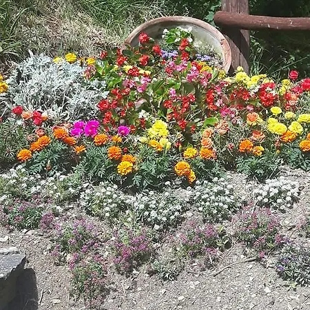 Borgo Valagnesi Casa Annarita * Pratovecchio