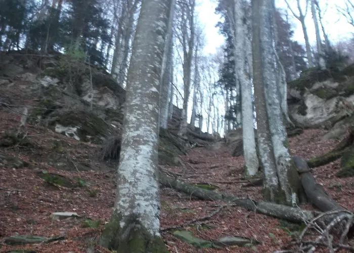 Borgo Valagnesi Casa Annarita 3* 普拉托韦基奥