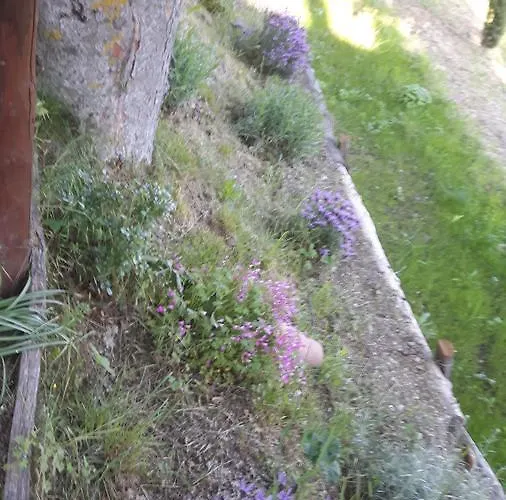 住宿加早餐酒店 Borgo Valagnesi Casa Annarita 3*