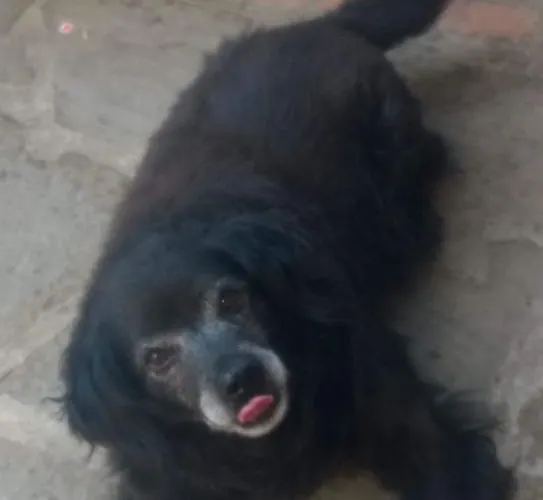 住宿加早餐酒店 Borgo Valagnesi Casa Annarita 3*