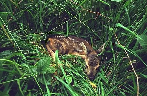 Borgo Valagnesi Casa Annarita 3* 普拉托韦基奥