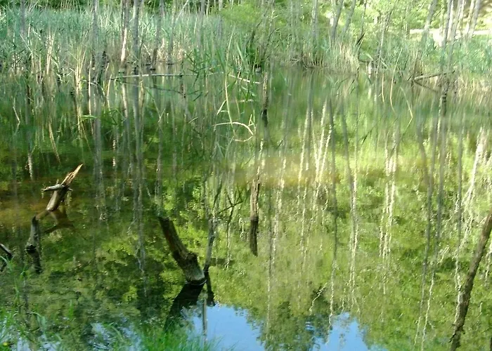 Borgo Valagnesi Casa Annarita 3* 普拉托韦基奥