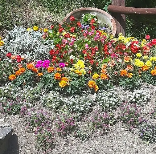 Borgo Valagnesi Casa Annarita 3* 普拉托韦基奥